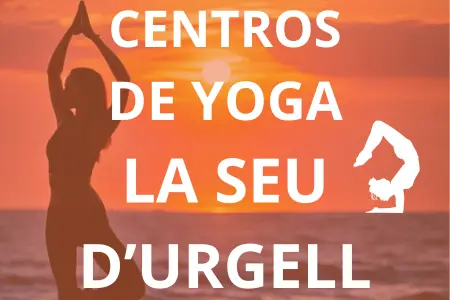 CENTROS DE YOGA LA SEU D’URGELL